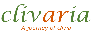 Clivaria